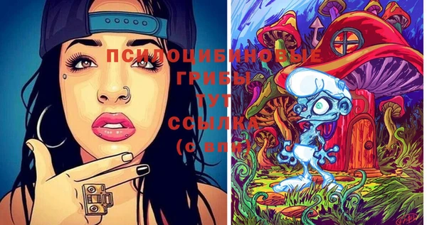 стафф Нея