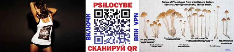 Псилоцибиновые грибы прущие грибы  Рославль 